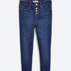 Stitch Fix REVERY KIDS Saira High Rise Button Fly Skinny Jean  14 | Indigo